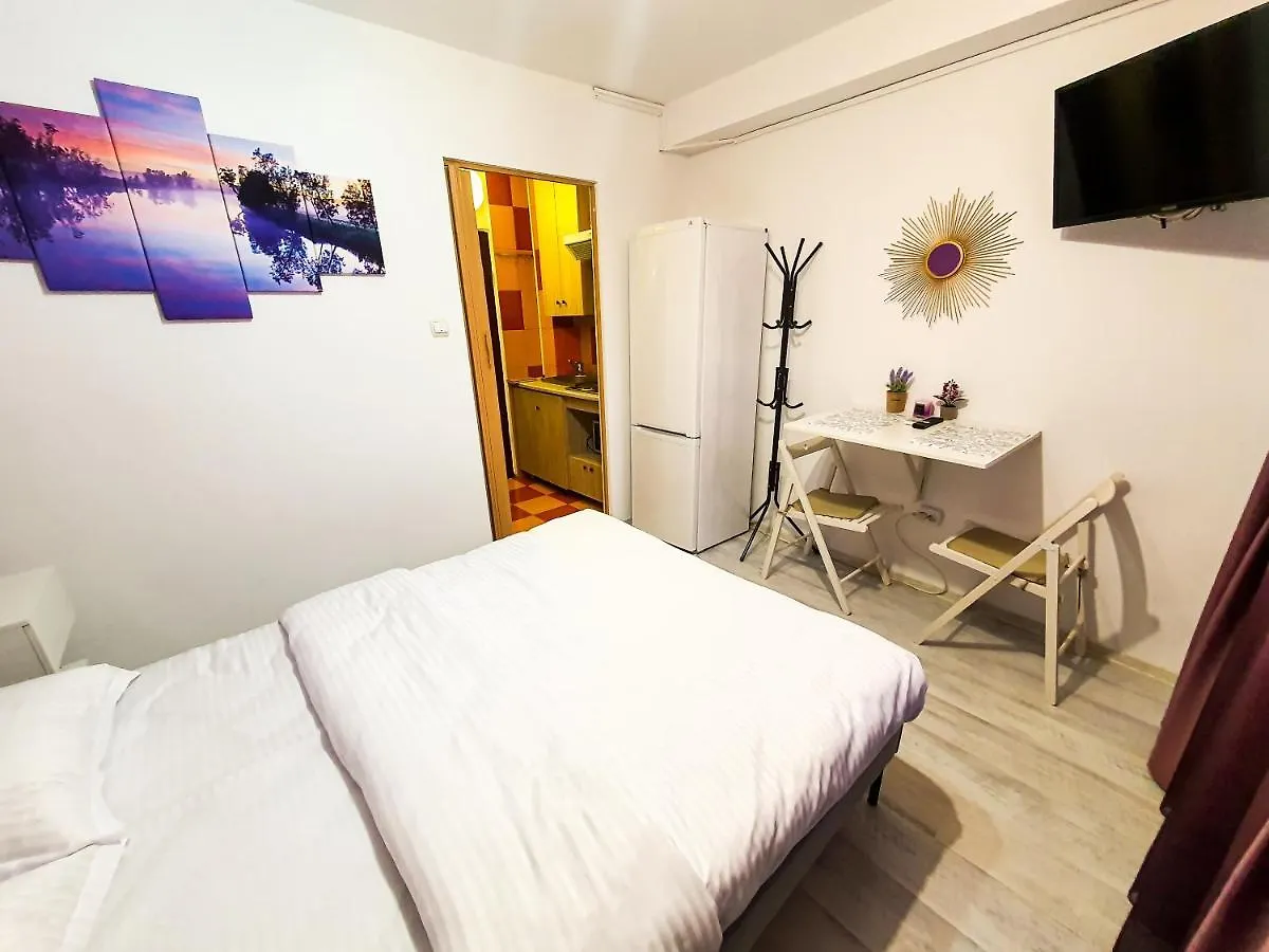 Romancierilor Studio With Self Check In Bukarest Apartment